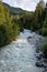 Landscape of glacier melt in Fitzsimmons Creek, mixed forest of deciduous and evergreen trees with mountain and cloudy sky in back