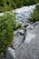 Landscape of glacier melt in Fitzsimmons Creek, mixed forest of deciduous and evergreen, Whistler BC Canada