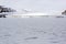 Landscape with glacier and pack ice on a covered day in Spitsbergen