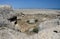 Landscape of Gobustan Natural park, Azerbaijan,was established in 1966 to preserve the ancient carvings, mud volcanoes and gas-sto