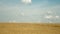 Landscape with golden wheat field under blue sky