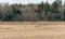 Landscape with goose barn in the field, agricultural fields with fresh stubble after harvesting