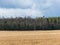 Landscape with goose barn in the field, agricultural fields with fresh stubble after harvesting