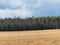 Landscape with goose barn in the field, agricultural fields with fresh stubble after harvesting