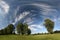 Landscape with grassland, trees and cirrus clouds