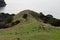 Landscape with a green field and sea, Homunga bay, Waikato region, New Zealand