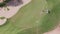 Landscape of green golf course with trees aerial view. Dubai, UAE