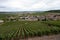 Landscape with green grand cru vineyards near Cramant, region Champagne, France in rainy day. Cultivation of white chardonnay wine