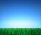 Landscape: green grass, clear blue sky