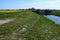 Landscape with green grass on river bank of regulated agricultural water channel and yellow flowering rapeseed field on the left.
