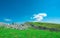 Landscape of green grass and rock mountain in spring with beautiful blue sky and white clouds. Countryside or rural view.