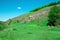 Landscape of a green grassy hills, valley, trees and blue sky wi