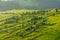 Landscape of green hills with houses and trees.