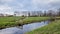 Landscape with a green meadow, ditch and cloudy sky, Netherlands