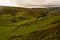 Landscape with green meadow, Yorkshire Dales, UK