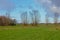 Landscape with Green meadows and pollarded willows in Flanders