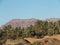 Landscape of green palm trees in oasis in central Morocco in old village of Oulad near Zagora city