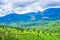 Landscape with green tea plantations, Munnar, Kerala, beautiful