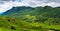 Landscape of green valley and layers of rice fields in Sapa, Vie