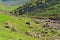 Landscape of green Zagros mountain range , Lorestan , Iran