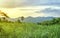 Landscape of The greenery of the local nature of Thailand With views of the mountains and grasslands at morning