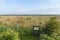 Landscape at Groene Strand