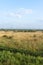 Landscape at Groene Strand