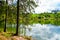 Landscape at the Grumbacher Teich. Nature in the Harz near Goslar.