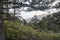 Landscape of Guadalupe Mountains National Park