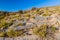 Landscape of Hajar Mountains, Om