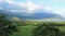 Landscape on Hanalei Bay