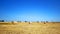 Landscape with hay roll