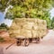 landscape with hay wagon