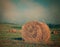 Landscape hayfield with hay rolls , sunrise photography