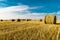 Landscape haymaking sky nature flora