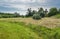 Landscape in haymaking time