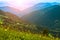 Landscape from the height of the mountain slopes, the blue distance, meadow, lonely tree