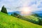 Landscape from height to mountain slopes, blue distance, meadow, tree