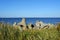 Landscape with herbs and breakwaters on the bank of Volga river