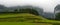 Landscape-Herd of cows in the Pyrenees-France