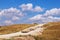 Landscape with herd of sheep coming down the hill. Balkans, Montenegro, Krnovo