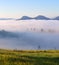 Landscape with high mountains. The early morning mist. Amazing foggy autumn day. Forest of the pine trees. A place to relax in the