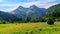 Landscape with high mountains, green forests and green meadow with yellow flowers in Ordesa Pirineos. Relax and tranquility to