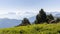 Landscape of the high plateaus of the South Vercors, Combeau valley, France