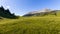 Landscape of the high plateaus of the South Vercors, Combeau valley, France