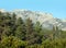 Landscape with high rocks with mountain pines on the slopes under blue cloudless sky on sunny day front view