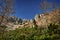 landscape of hiking paradise Schneeberg Breite Ries - rocks, peak, trees and blue sky