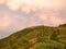 Landscape of hillside at summer. Carpathians mountains, west Ukraine. Green trees and plants on hill. Big clouds in the