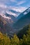 Landscape in Himalayas surrounded by deodar tree