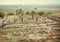 Landscape of historical ruined Moorish medieval city Medina Azahara in Andalucia, Spain. UNESCO heritage site